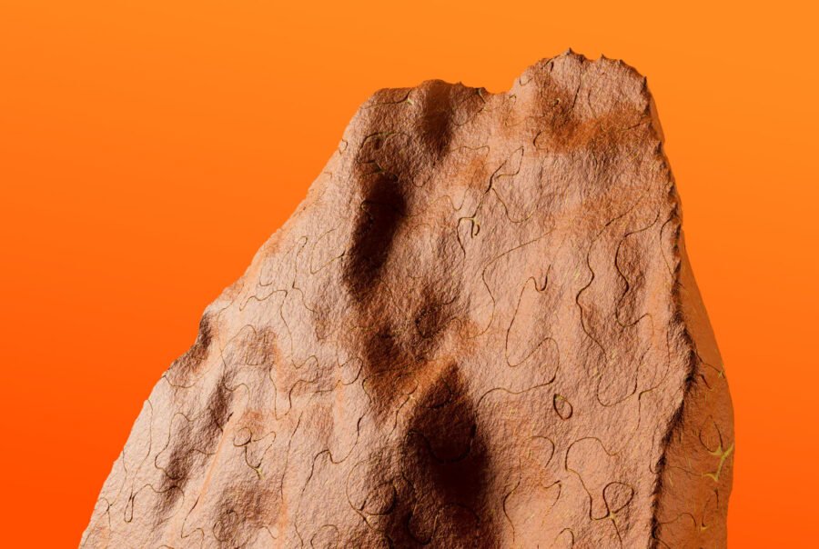 svg+xml;charset=utf | 88Saga